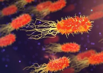 Genetics and Health: Decoding the Role of DNA in Disease Predisposition