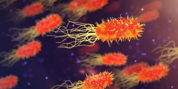 Genetics and Health: Decoding the Role of DNA in Disease Predisposition