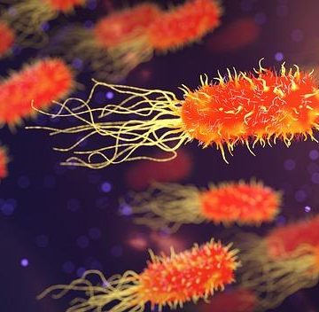 Genetics and Health: Decoding the Role of DNA in Disease Predisposition