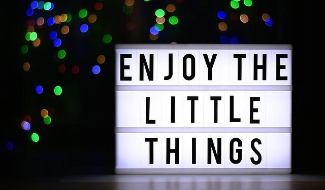 Cultivating Gratitude: The Power of Appreciation in Daily Life